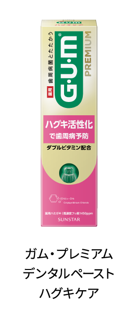 ガム・プレミアム デンタルペースト ハグキケア