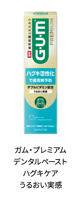 ガム・プレミアム デンタルペースト ハグキケアうるおい実感
