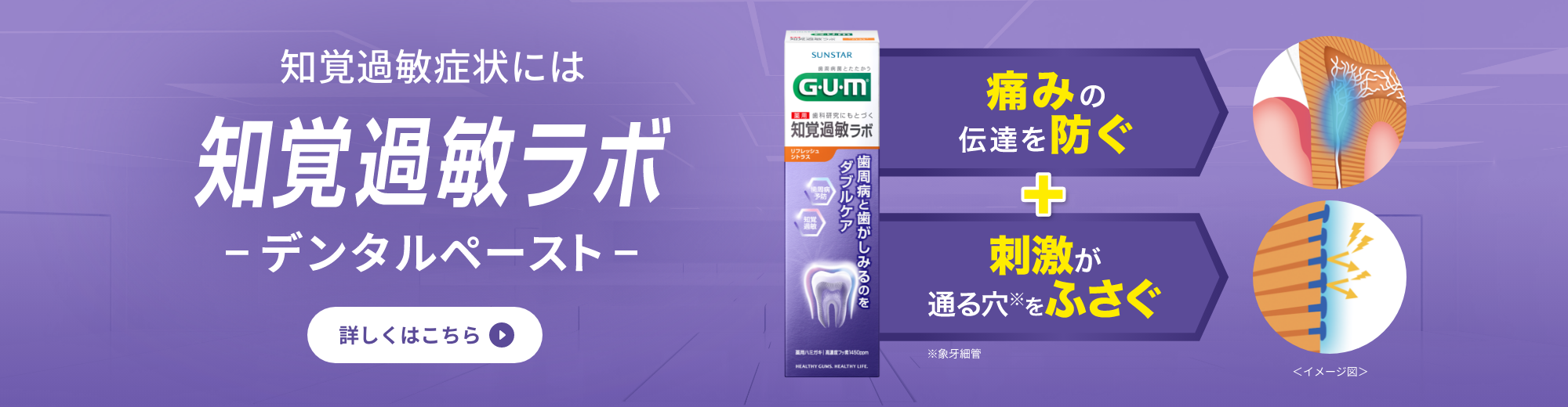 知覚過敏症状には知覚過敏ラボ -デンタルペースト- 詳しくはこちら