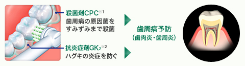 殺菌剤CPC※1歯周病の原因菌をすみずみまで殺菌 抗炎症剤GK2※2ハグキの炎症を防ぐ 歯周病予防(歯肉炎・歯周炎)