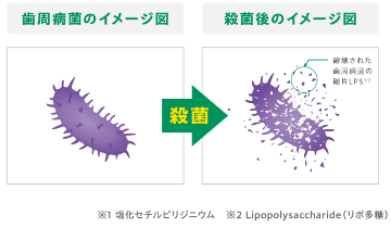 イメージ図