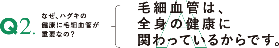 Q2.なぜ、ハグキの健康に毛細血管が重要なの?
A.毛細血管は、全身の健康に関わっているからです。