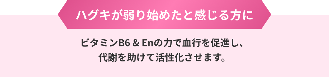 ハグキが弱り始めたと感じる方に ビタミンB6 & Enの力で血行を促進し、代謝を助けて活性化させます。