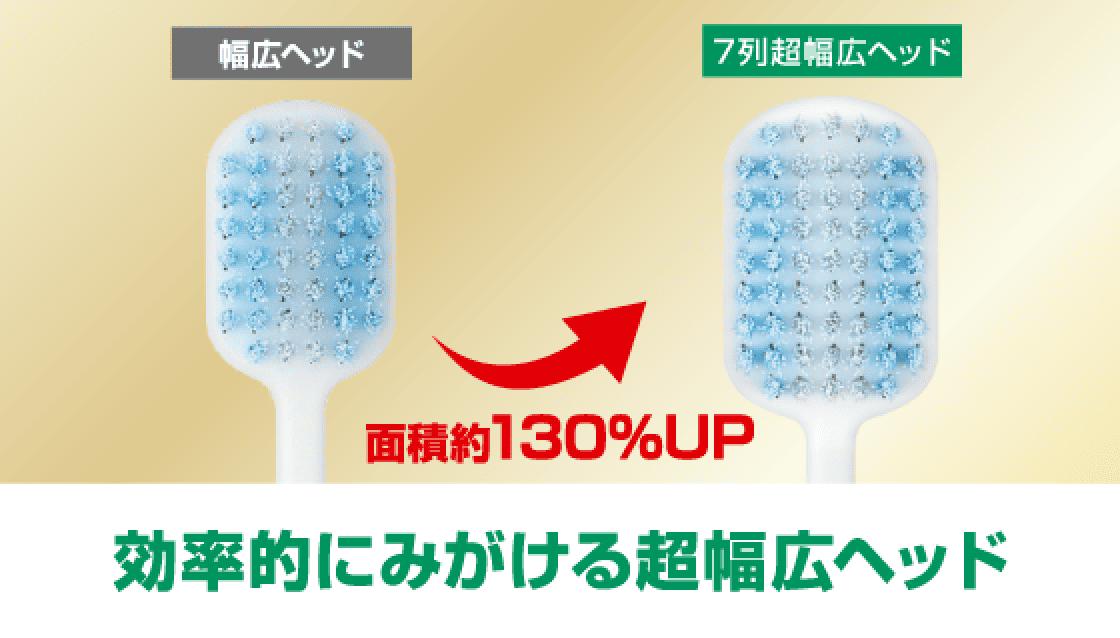 面積約130%UP 効率的にみがける超幅広ヘッド