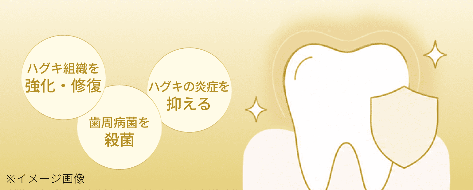 3つの作用で歯周病予防