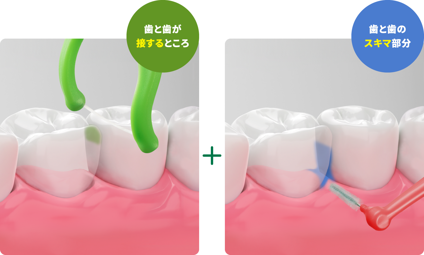 フロス(糸)タイプ / ブラシタイプ