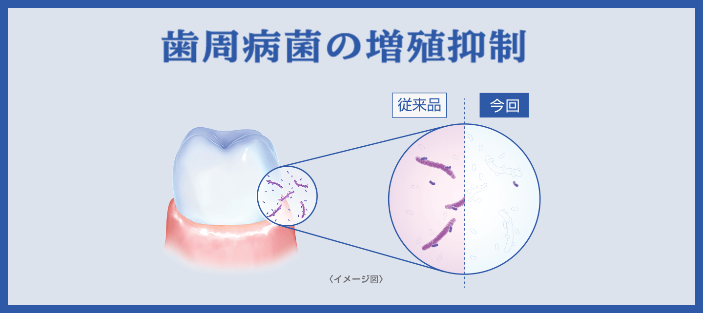 歯周病菌の増殖抑制